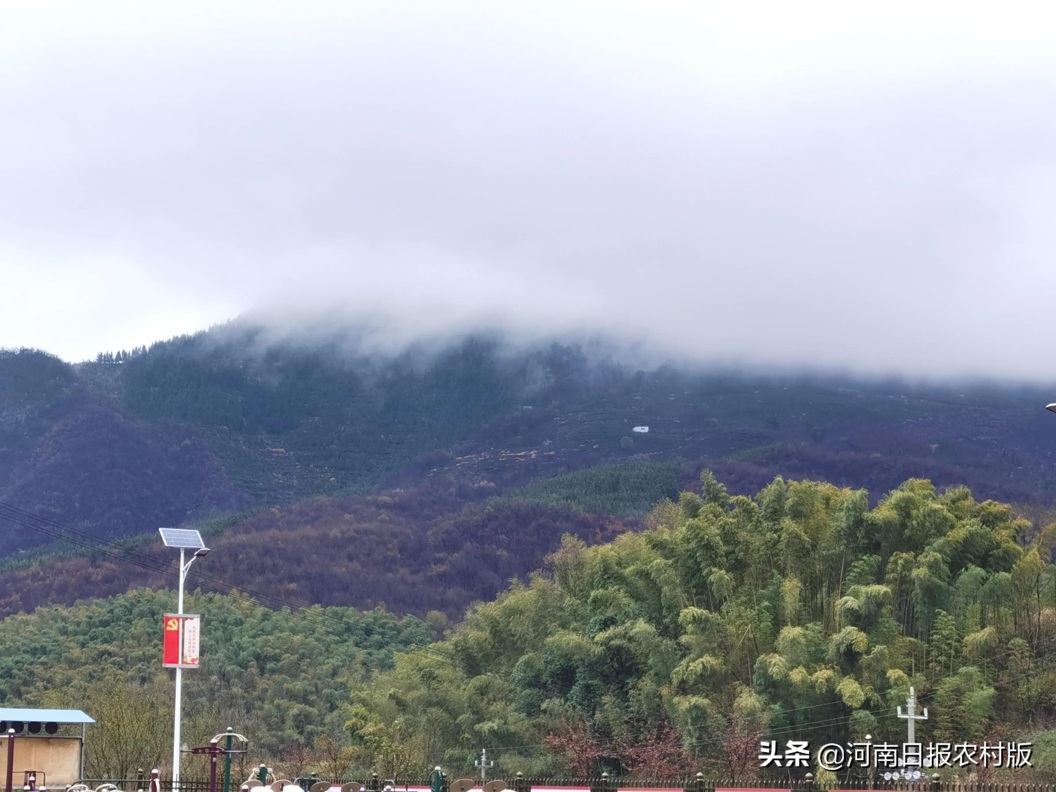 春风送暖到皮冲